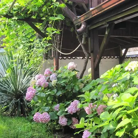 La Rose 3* 索佐波尔